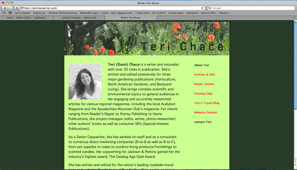 image of homepage for website of Teri Dunn